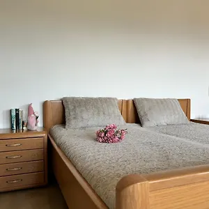  Apartment Am Hang Mit Alpenblick